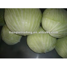 Fresh chinese flat cabbage
